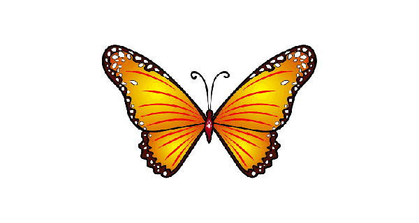 How To Draw Butterfly 20