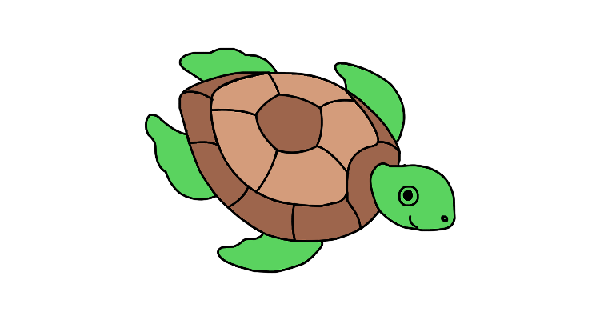 How To Draw Turtle