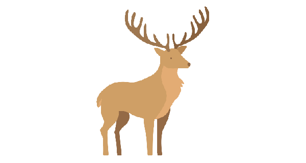 How To Draw Deer