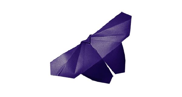 How To Make Butterfly Animal Origami