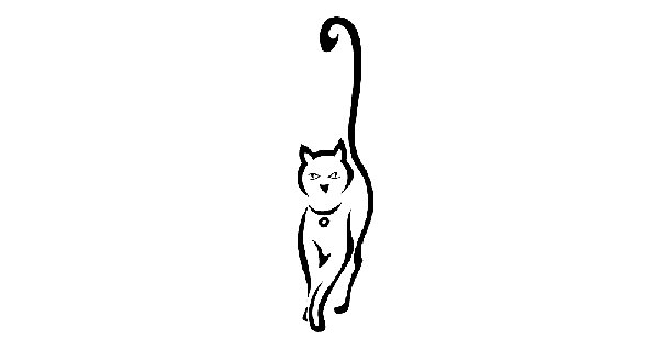 How To Draw Gato