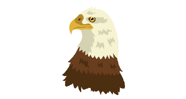 How To Draw Eagle