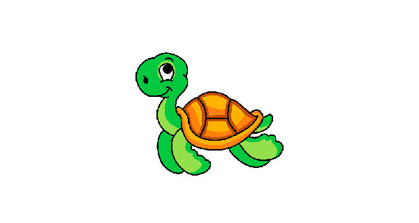 How To Draw Tortoise