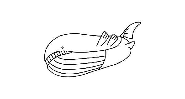 How To Draw Wailord