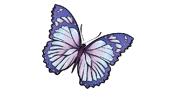 How To Draw Butterfly 12