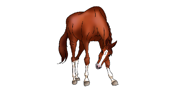 How To Draw Horse 14