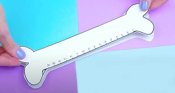 How To Make Ruler - bones Rulers, sharpeners, School Supplies, School Supply, DIY, Rulers, sharpeners